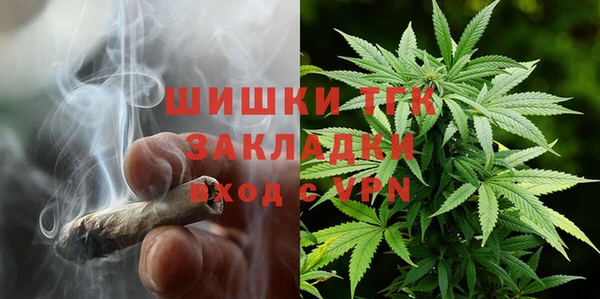 твердый Протвино
